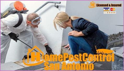 Pest Control San Antonio San Antonio Texas